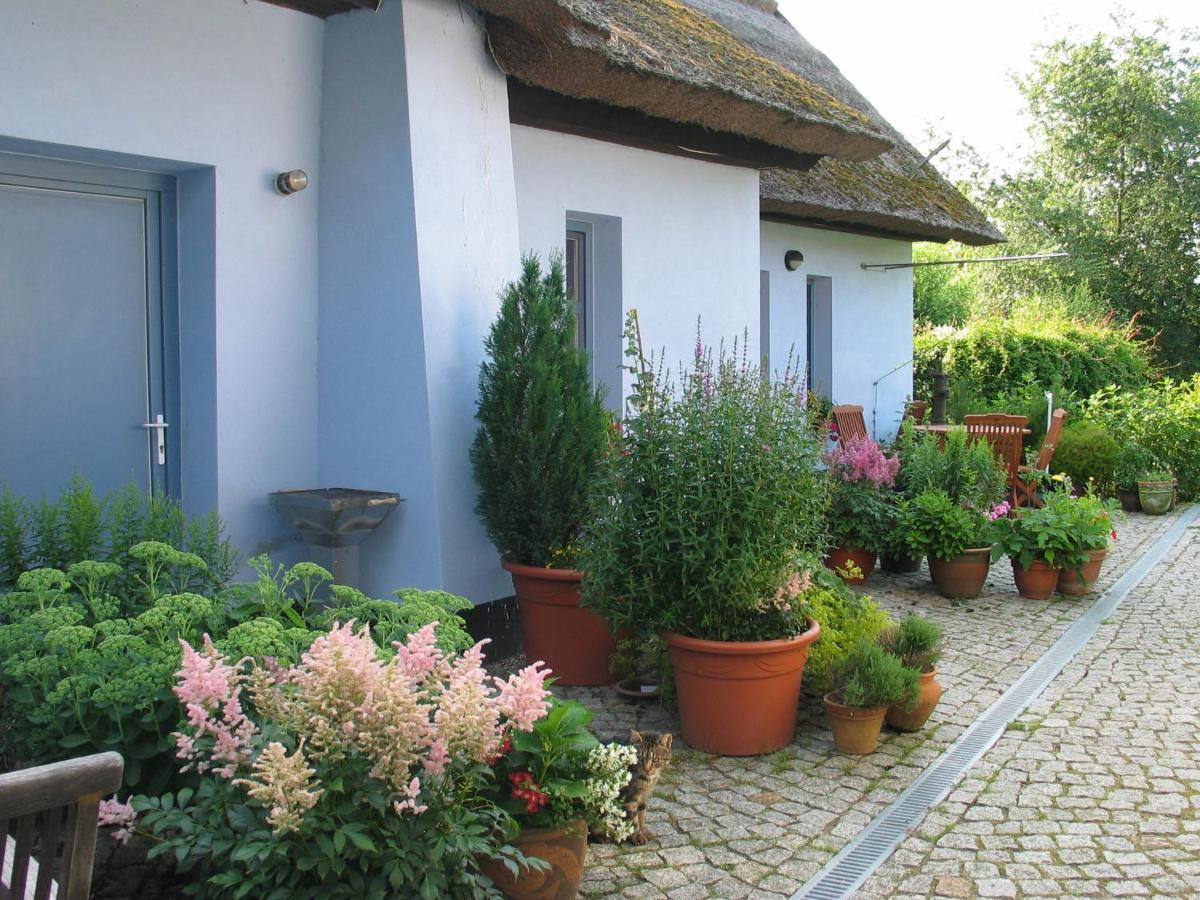 Zum Schwarzen Stiefel- Ferienwohnung Atelierhaus Rankwitz Eksteriør bilde